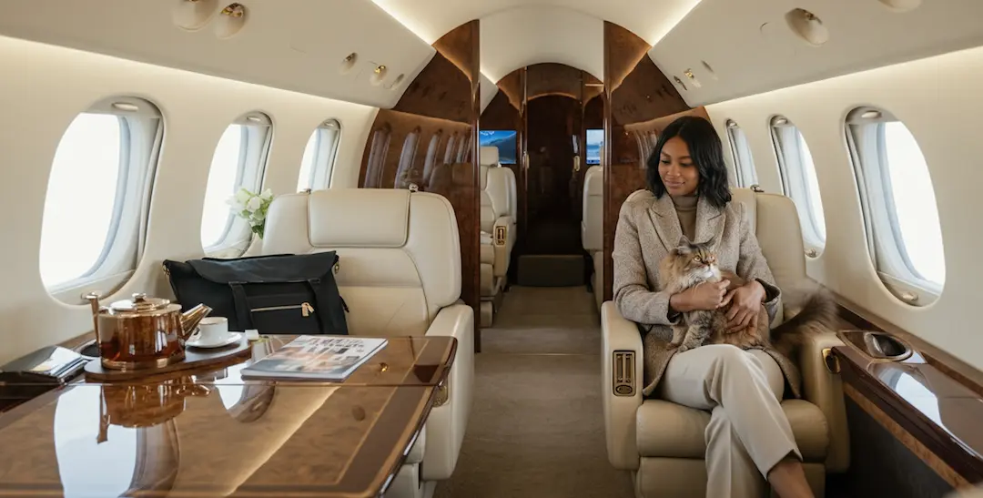 Woman relaxing with a long-haired cat on her lap inside a private jet cabin